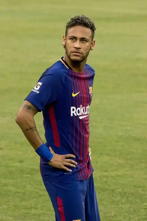 卫的崛起 卫的崛起