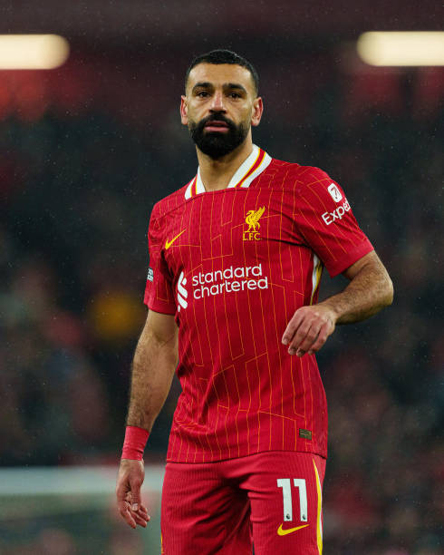 马成为了无 马成为了无